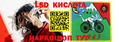 шишки Тверь