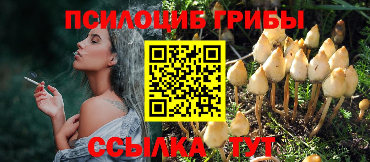 Псилоцибиновые грибы GOLDEN TEACHER Отрадное