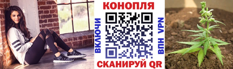 магазин продажи   mega онион  Канабис AK-47  Отрадное 